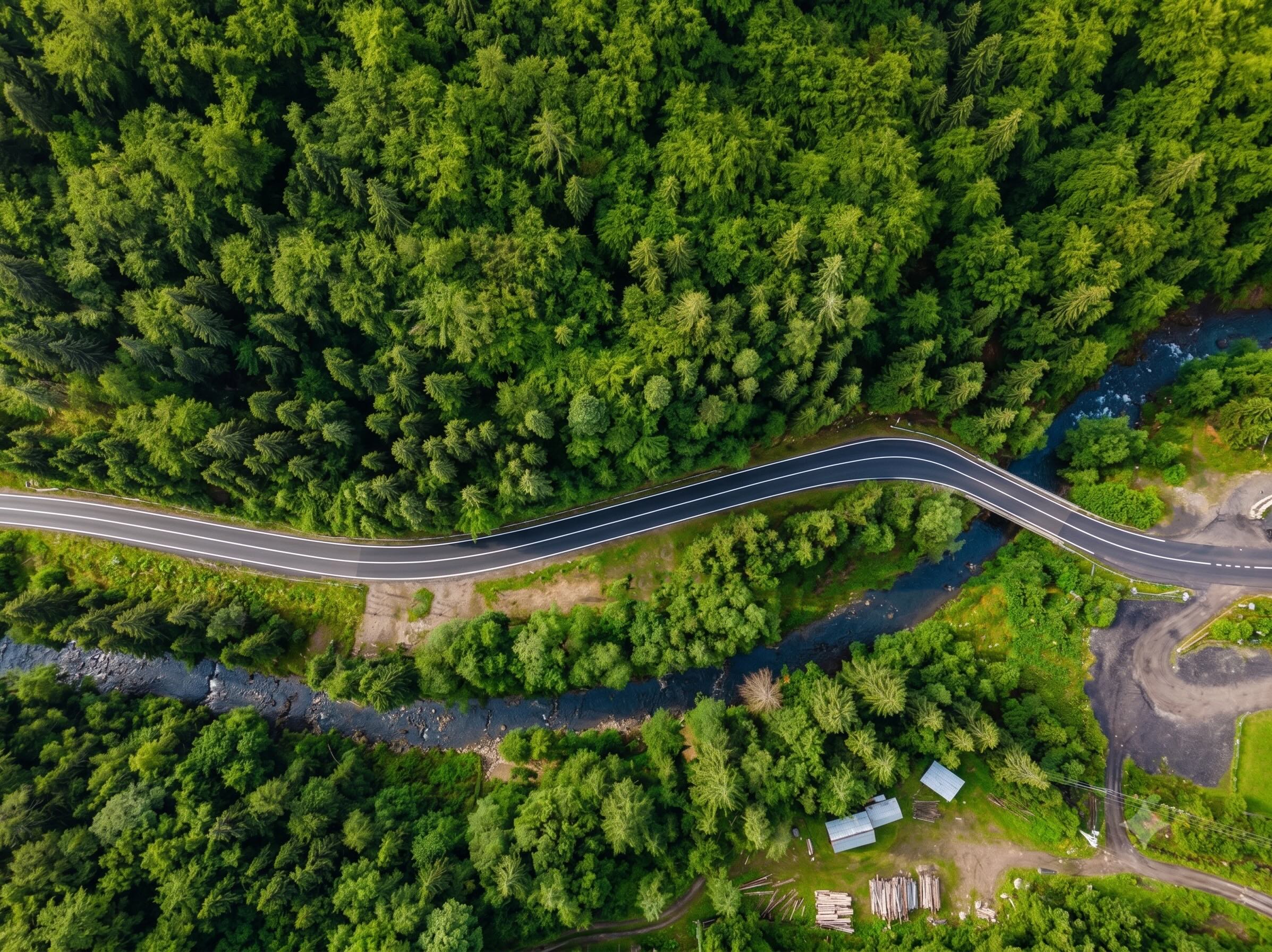 Summer landscape on the Transfagarasan