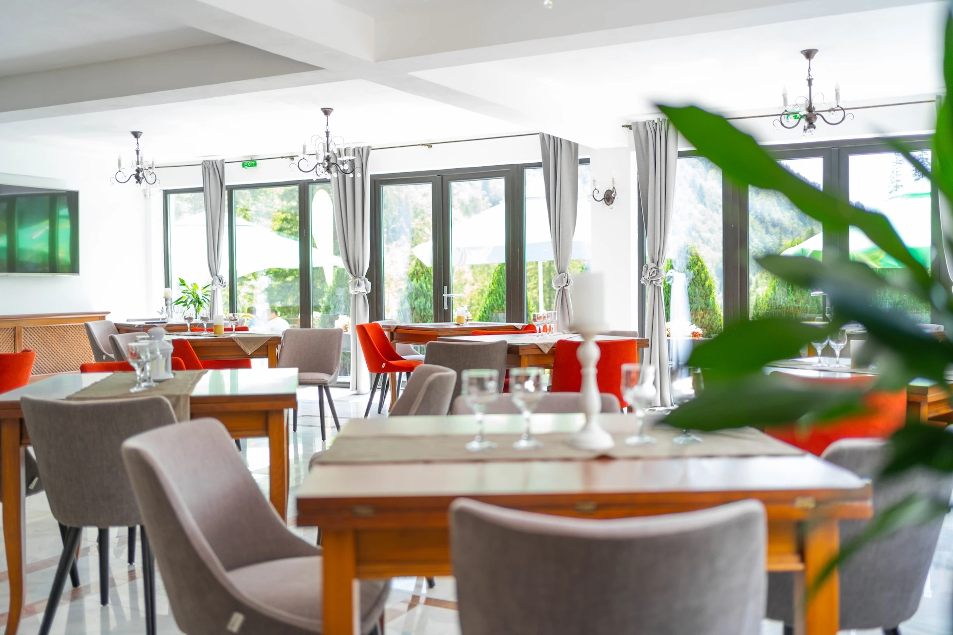 Discover the restaurant